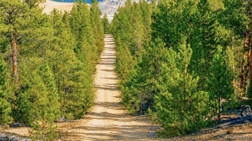 Lot 56 Lodgepole Drive