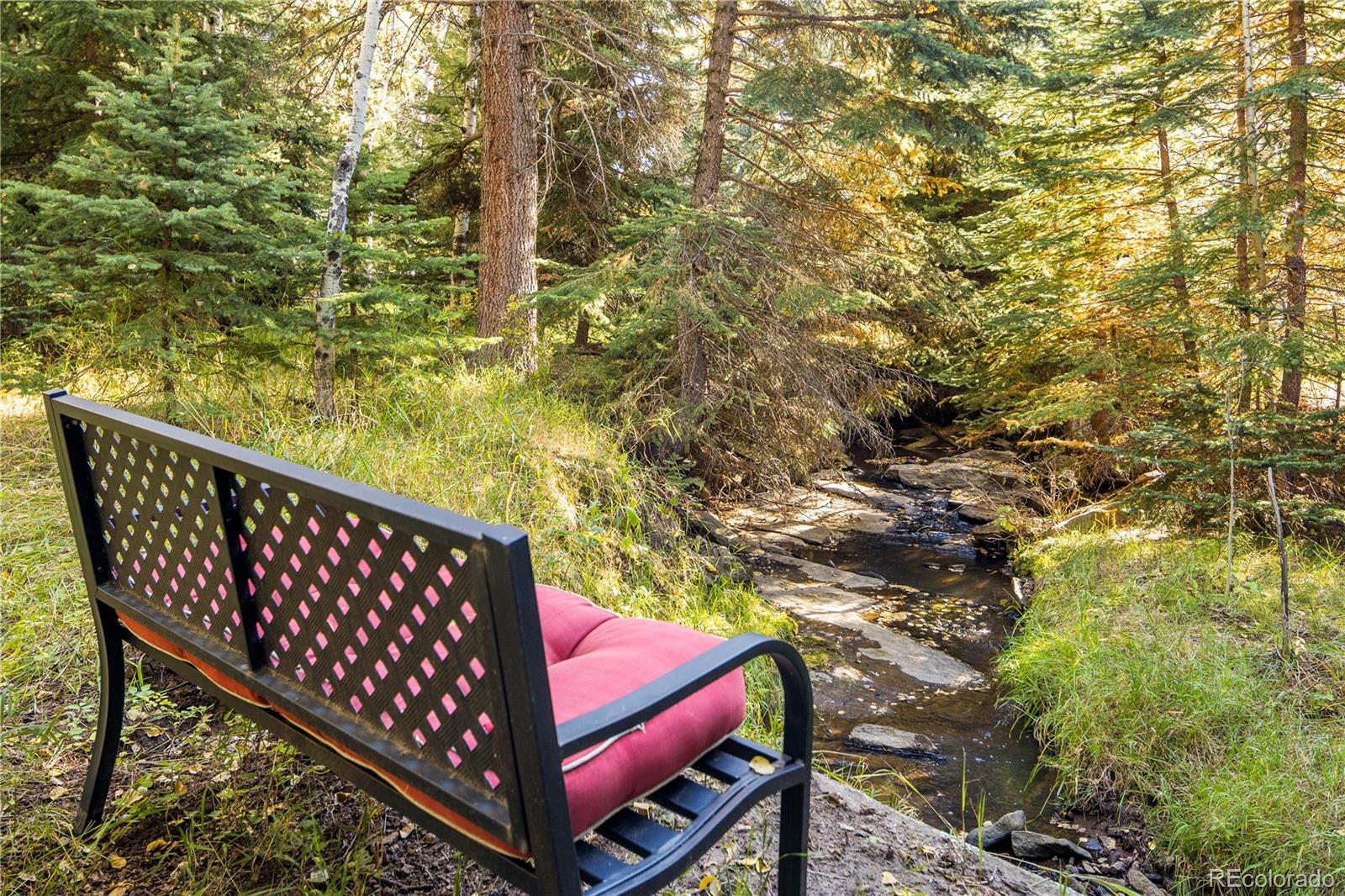 32217 Buffalo Park Road