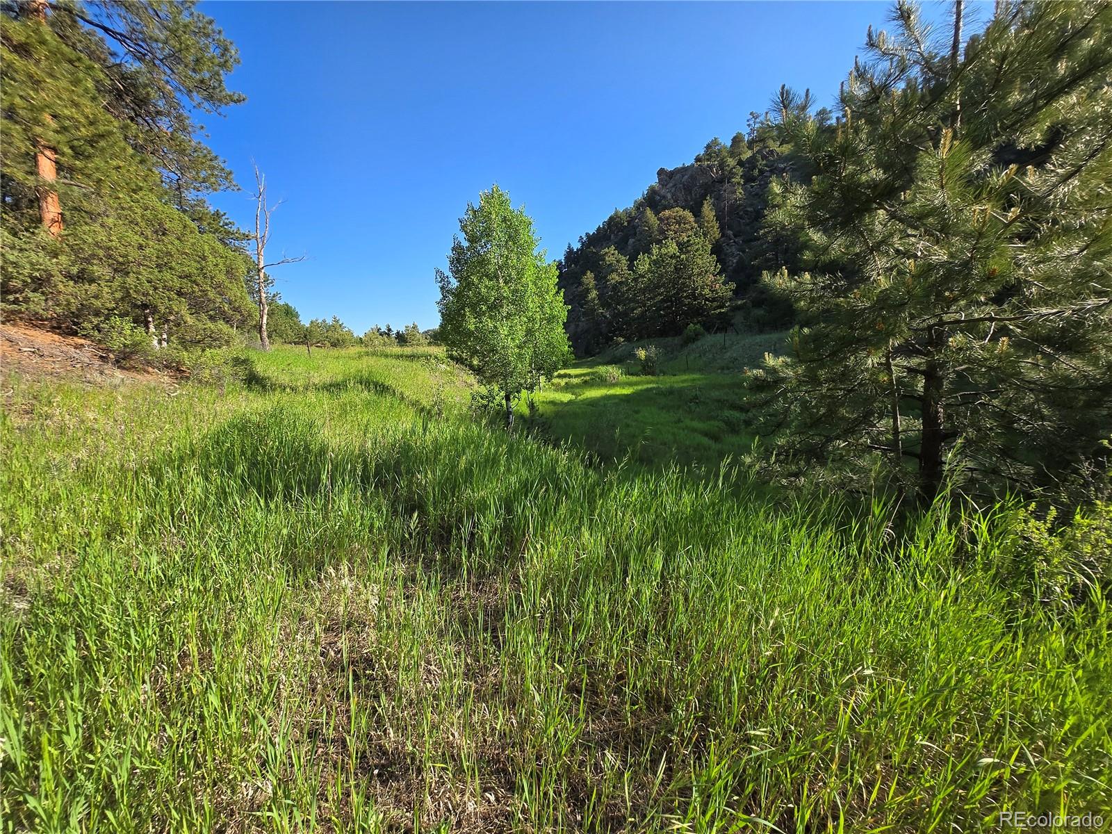14514 Reserve Road