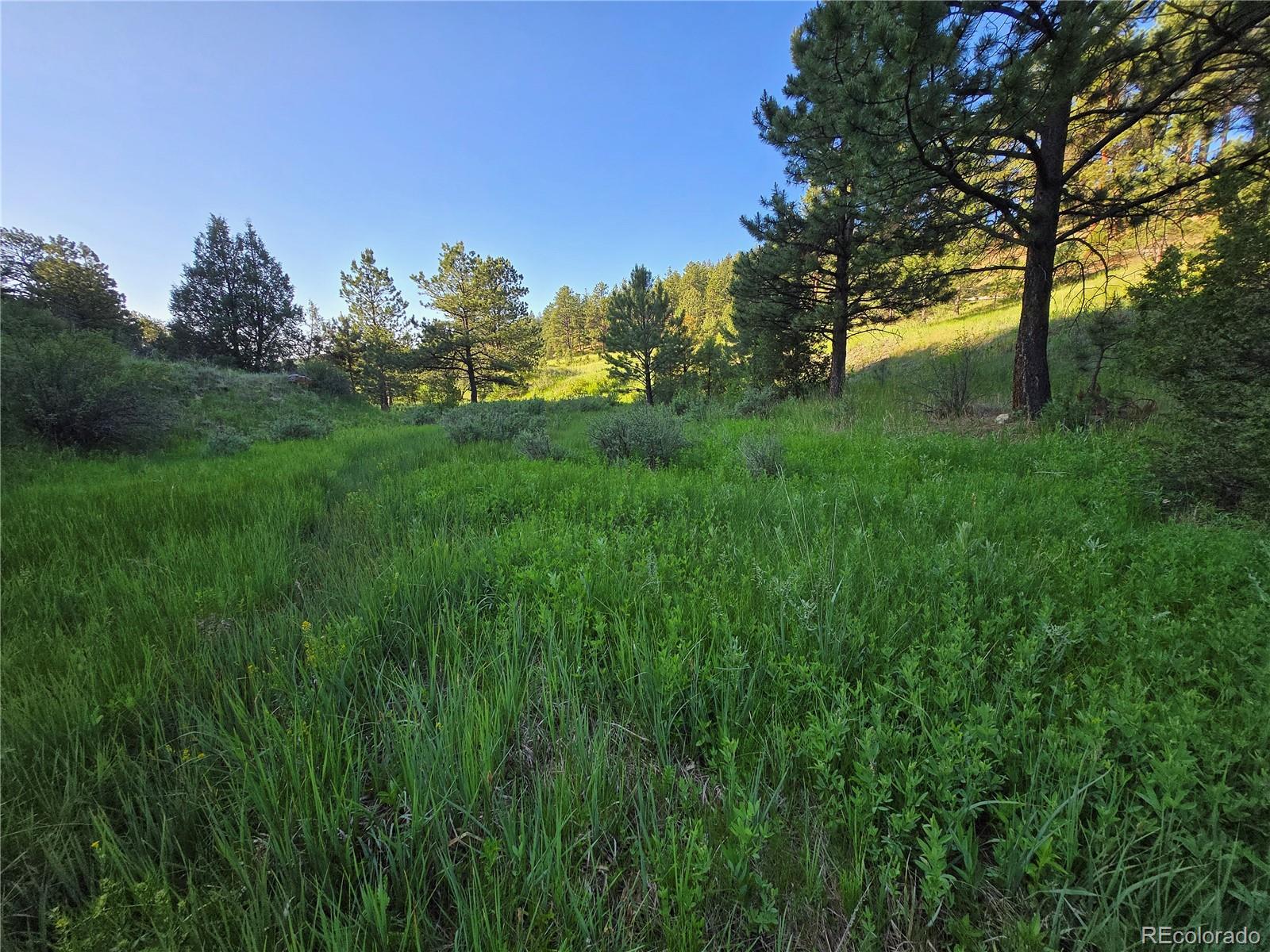 14514 Reserve Road