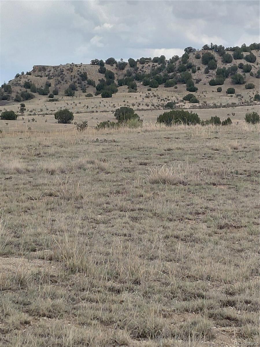 PAR 62 Horse Creek Road