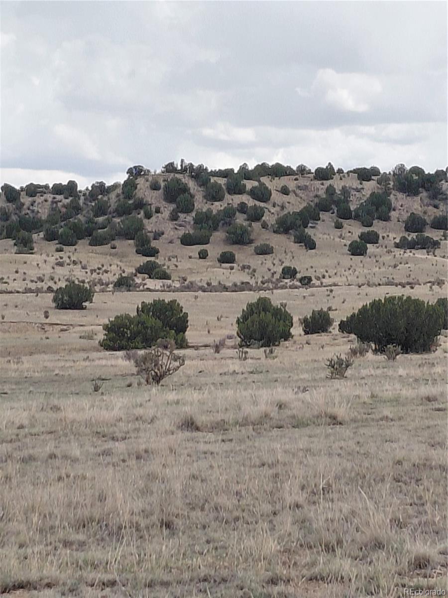 PAR 62 Horse Creek Road