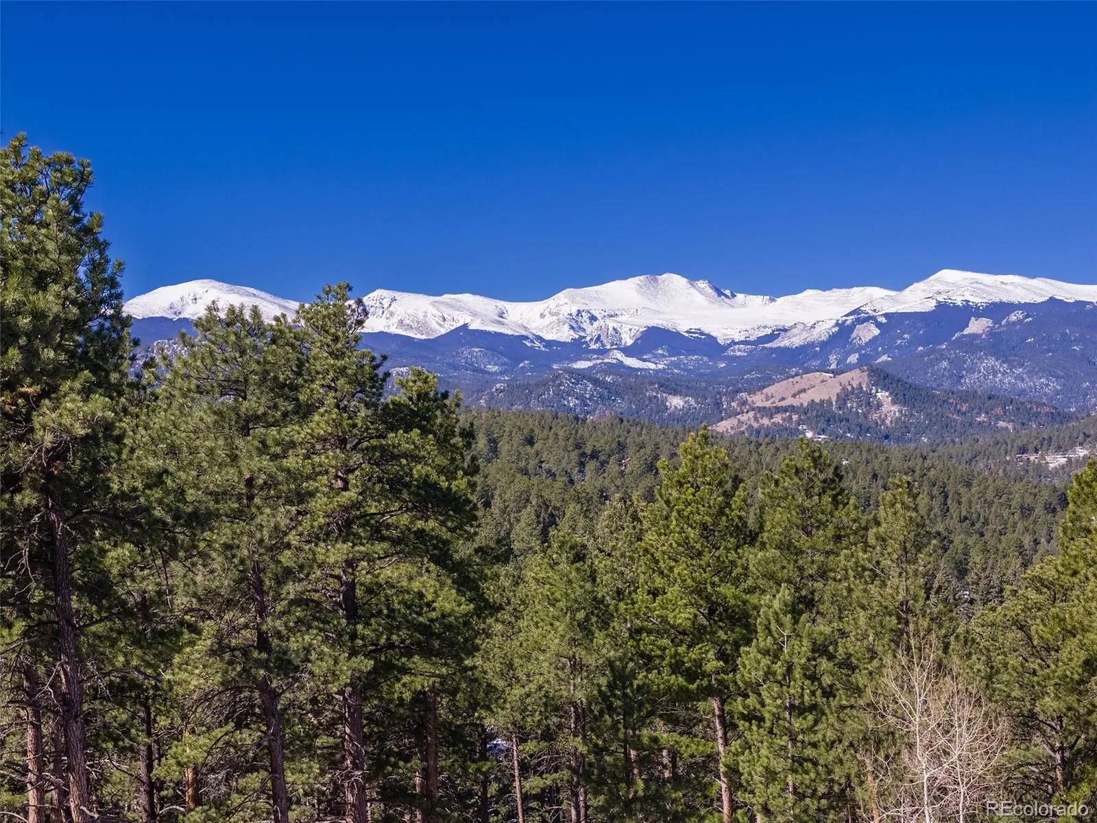 Evergreen, Colorado 80439, United States, ,Land,Active,100303