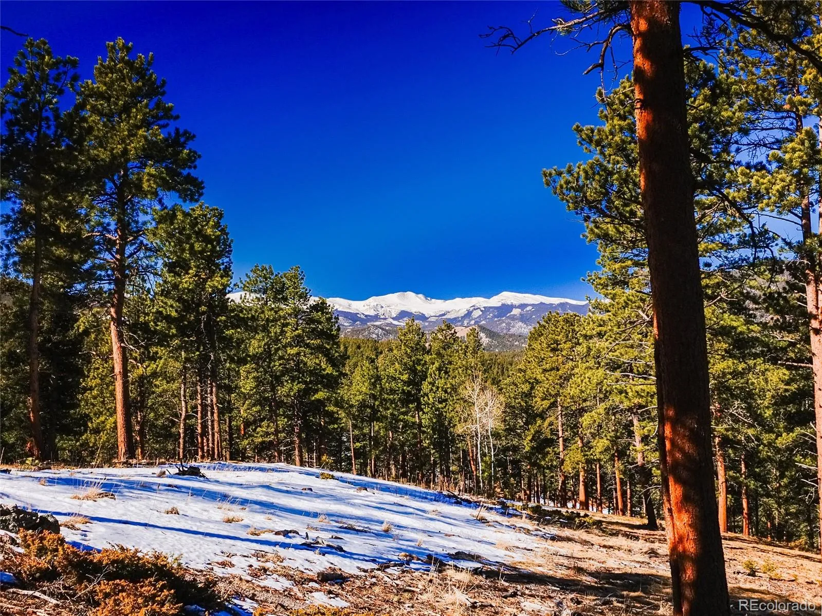 Evergreen, Colorado 80439, United States, ,Land,Active,100303