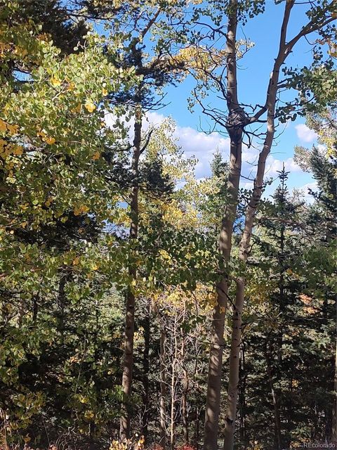 Lot 5374 Fort Garland CO 81133
