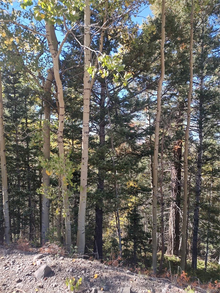 Lot 5374