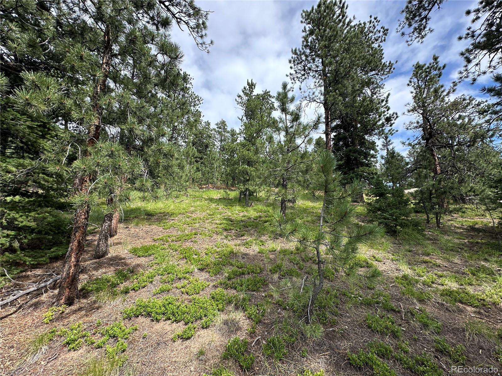 Build site