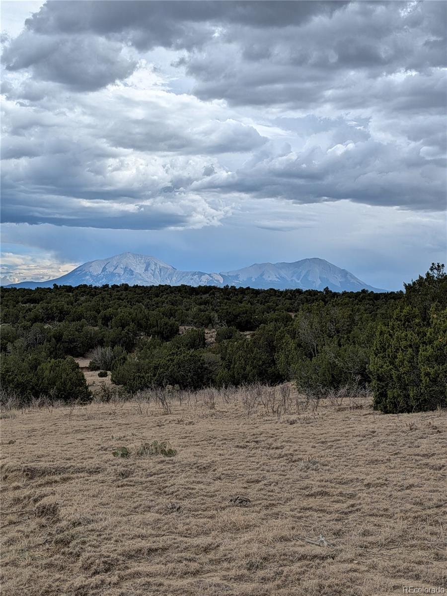 Lot 32540 County Road 525
