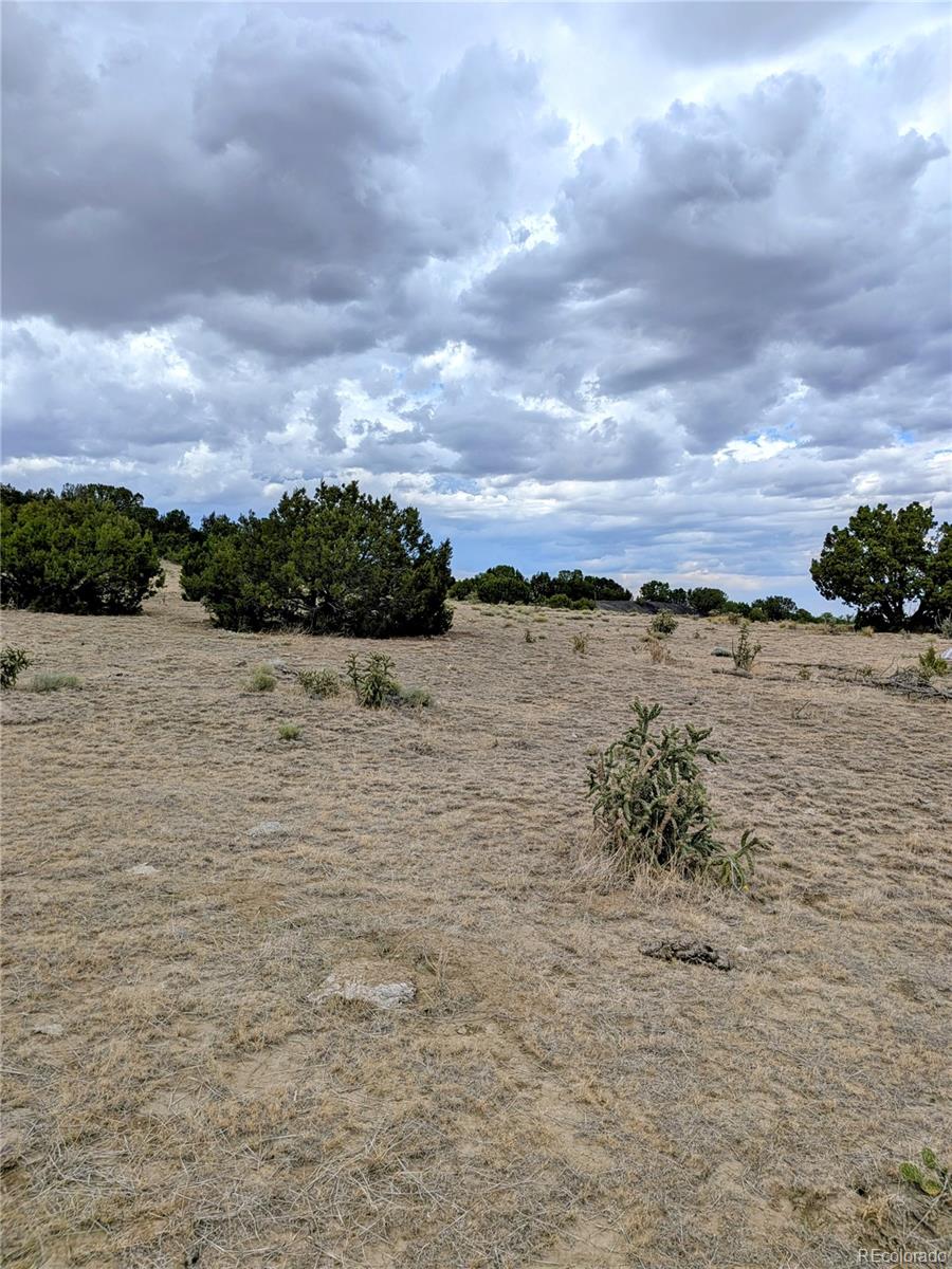 Lot 32540 County Road 525