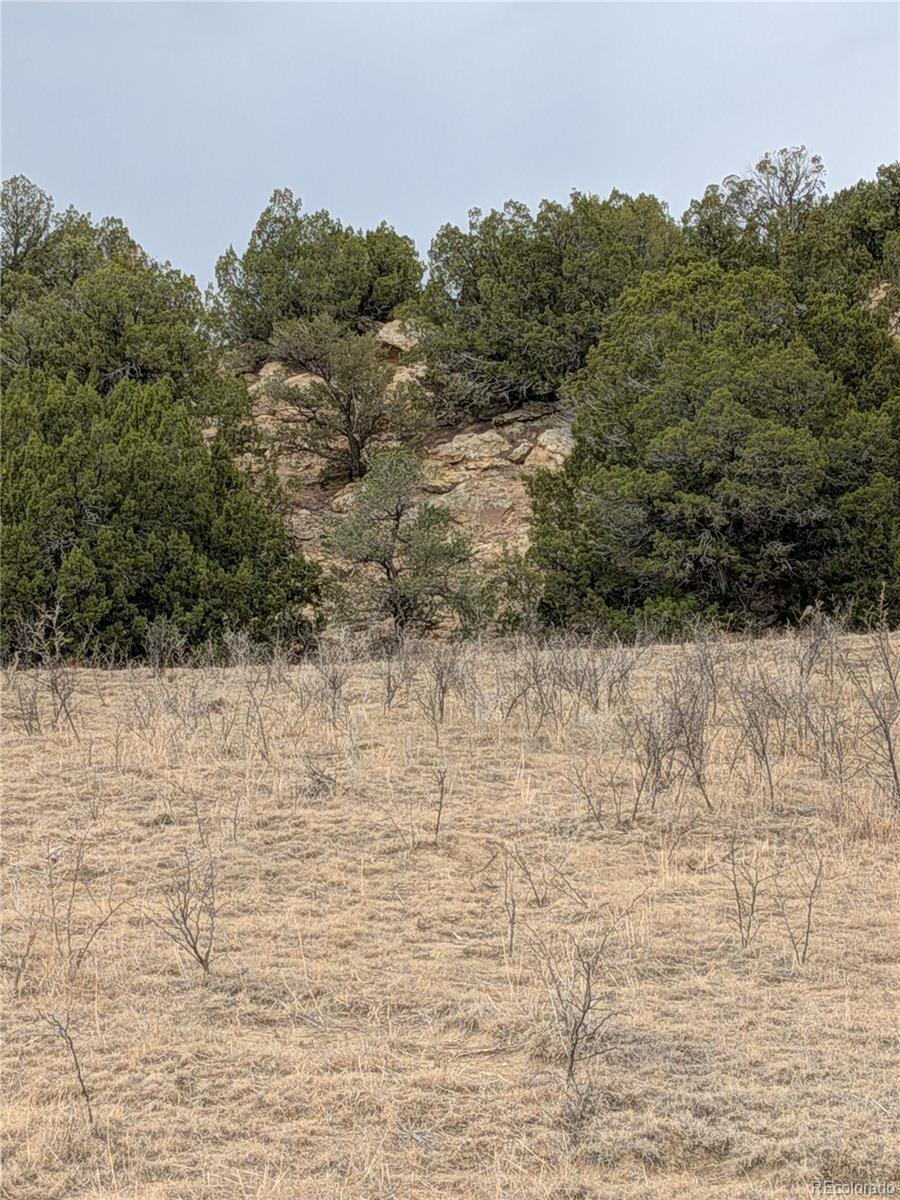 Lot 32540 County Road 525