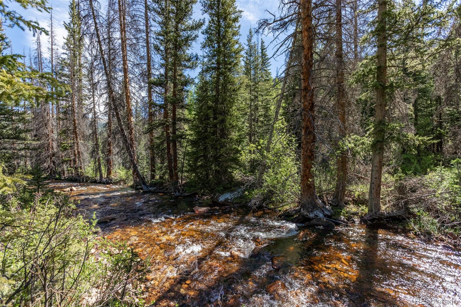 Photo 1 of 44 — 18990 Cr-294, Nathrop, CO 81236