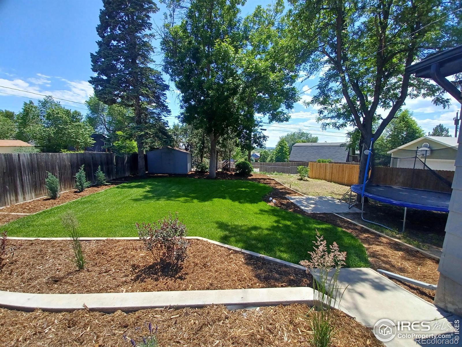 1843 Spruce Avenue, Longmont, CO, 80501 4 1843 Spruce Avenue