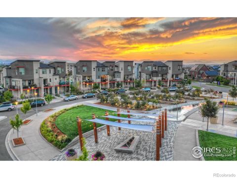 4931 Valentia Street Denver CO 80238