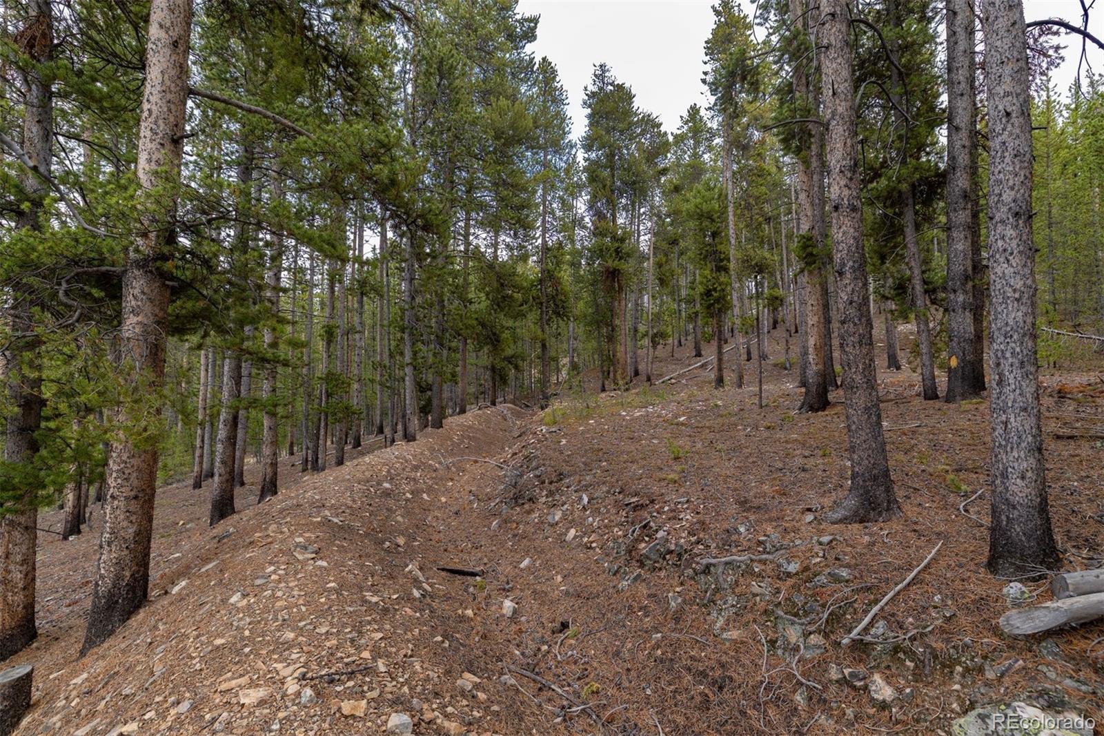 486 Moonstone Road