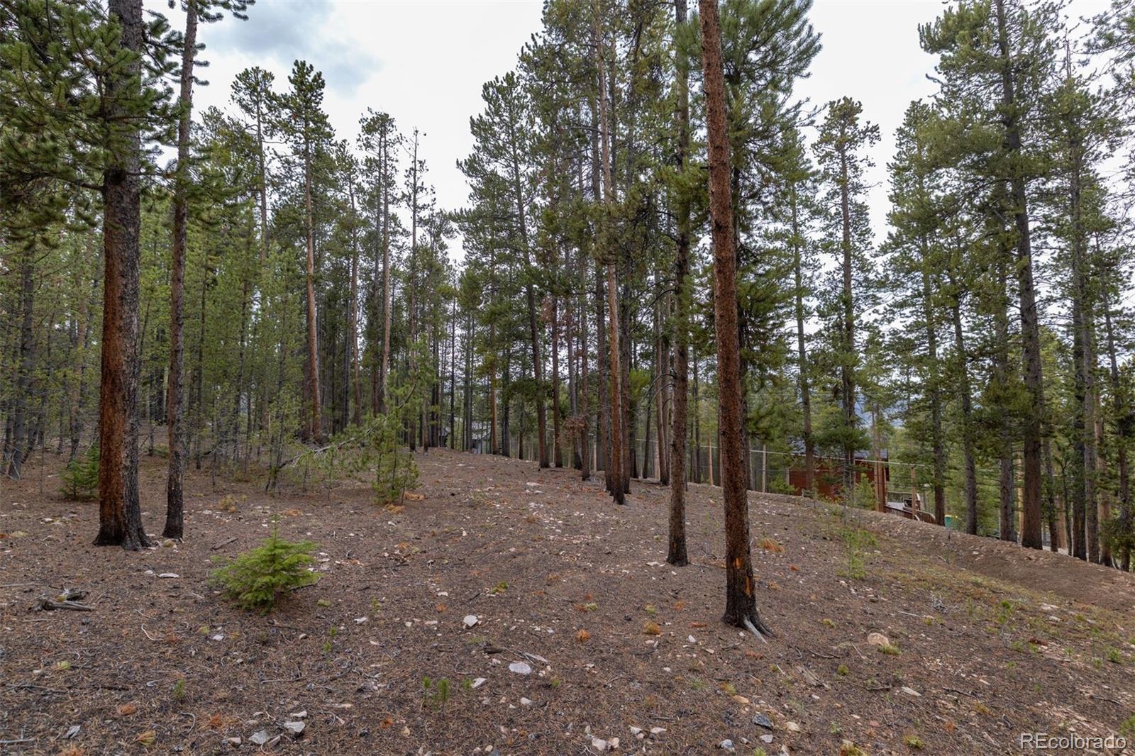 486 Moonstone Road