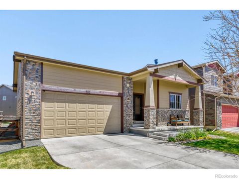 552 Newton Drive Loveland CO 80537