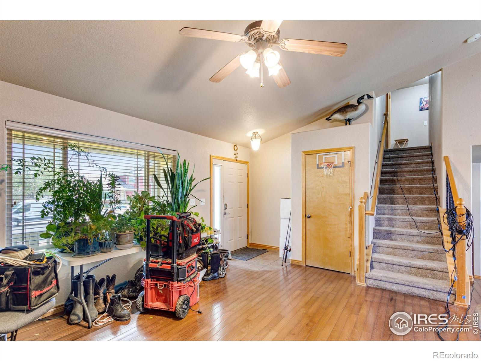 3242 Firewater Lane