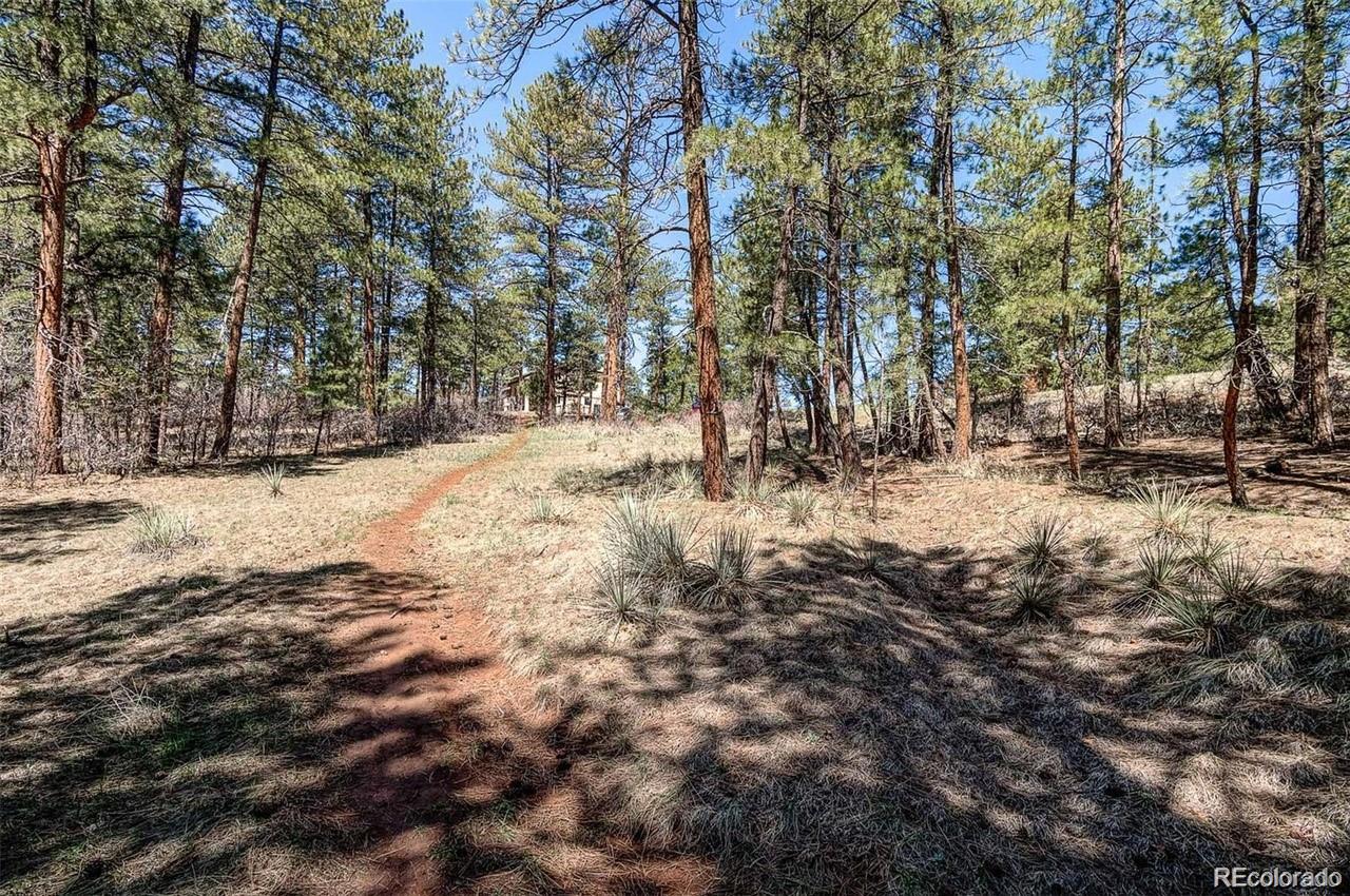 8173 Bannock Drive, Larkspur, CO, 80118 8173 Bannock Drive