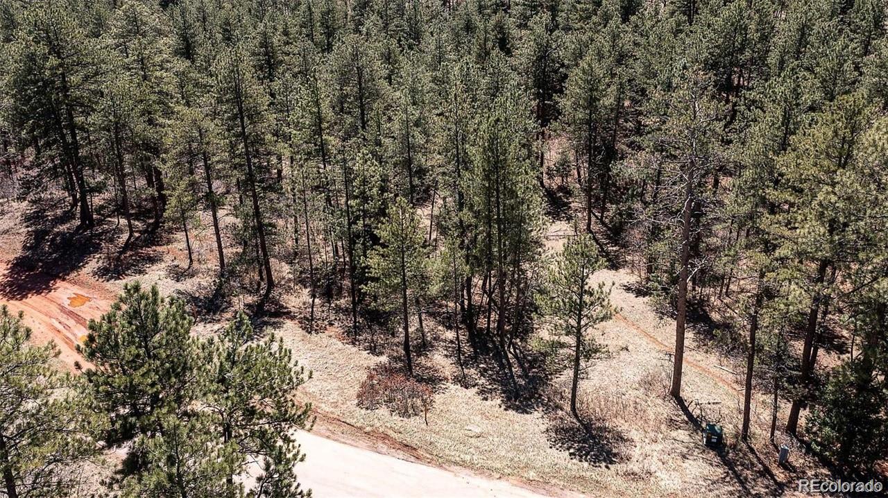 8173 Bannock Drive, Larkspur, CO, 80118 8173 Bannock Drive