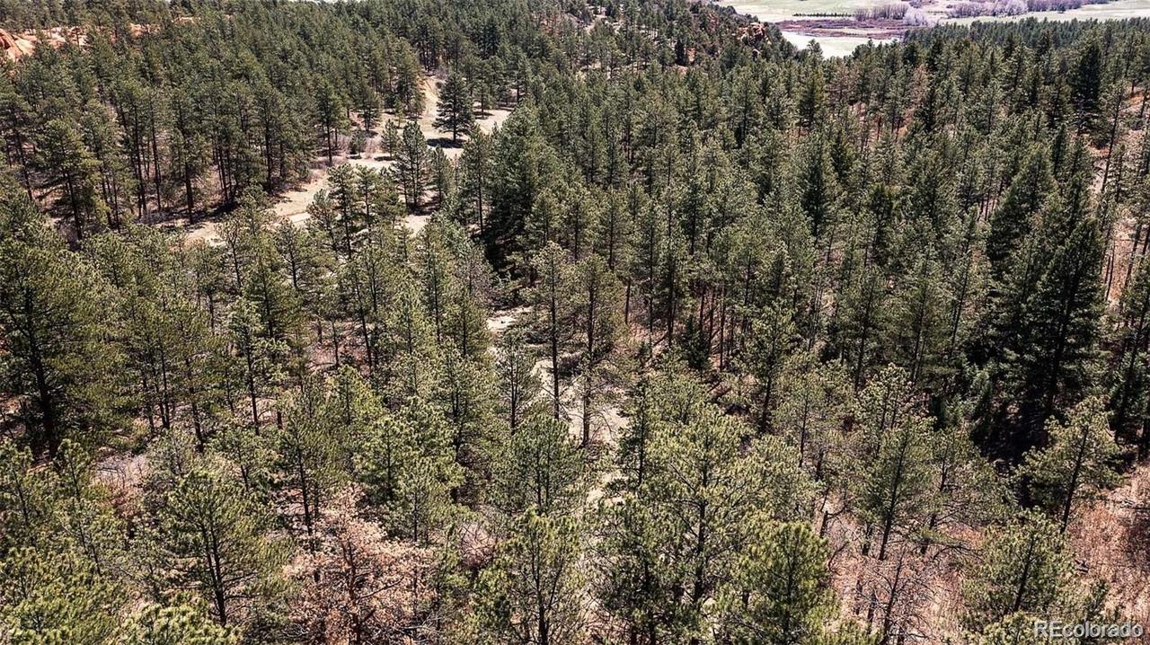 8173 Bannock Drive, Larkspur, CO, 80118 8173 Bannock Drive