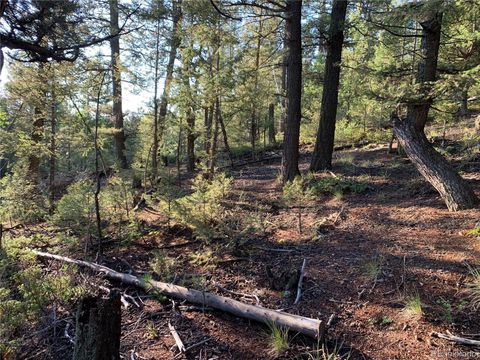12907 S Cindy Avenue Pine CO 80470