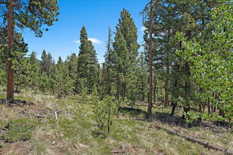 927 Forest Drive Bailey CO 80421