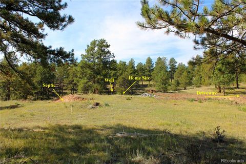 2414 Legacy Ranch Road Evergreen CO 80439