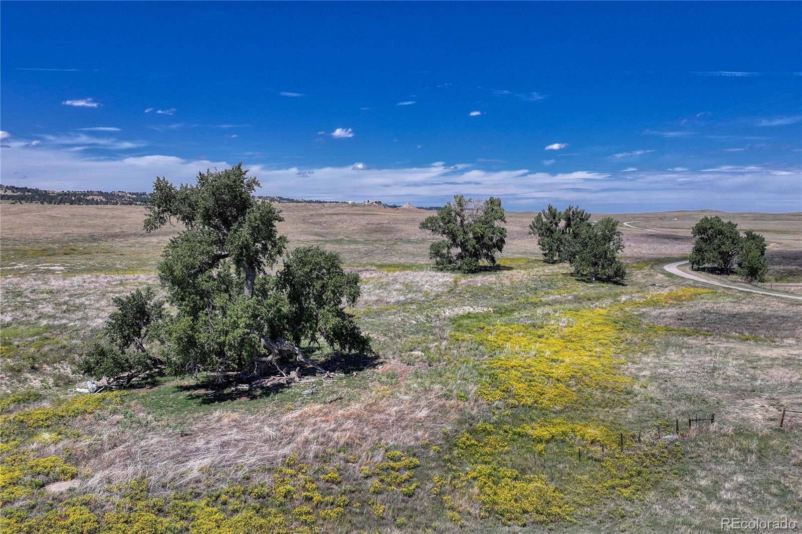 Fiddleback Ranch Road