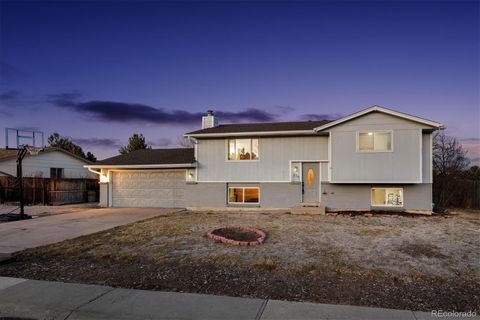219 Dianna Drive Lone Tree CO 80124