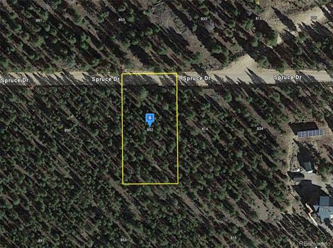 852 Spruce Drive Twin Lakes CO 81251