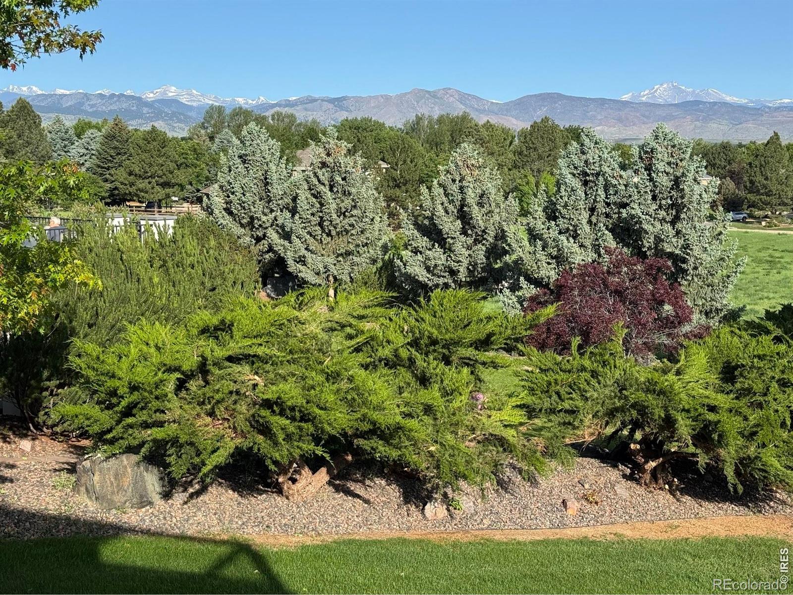 8847 Spring Creek Trail
