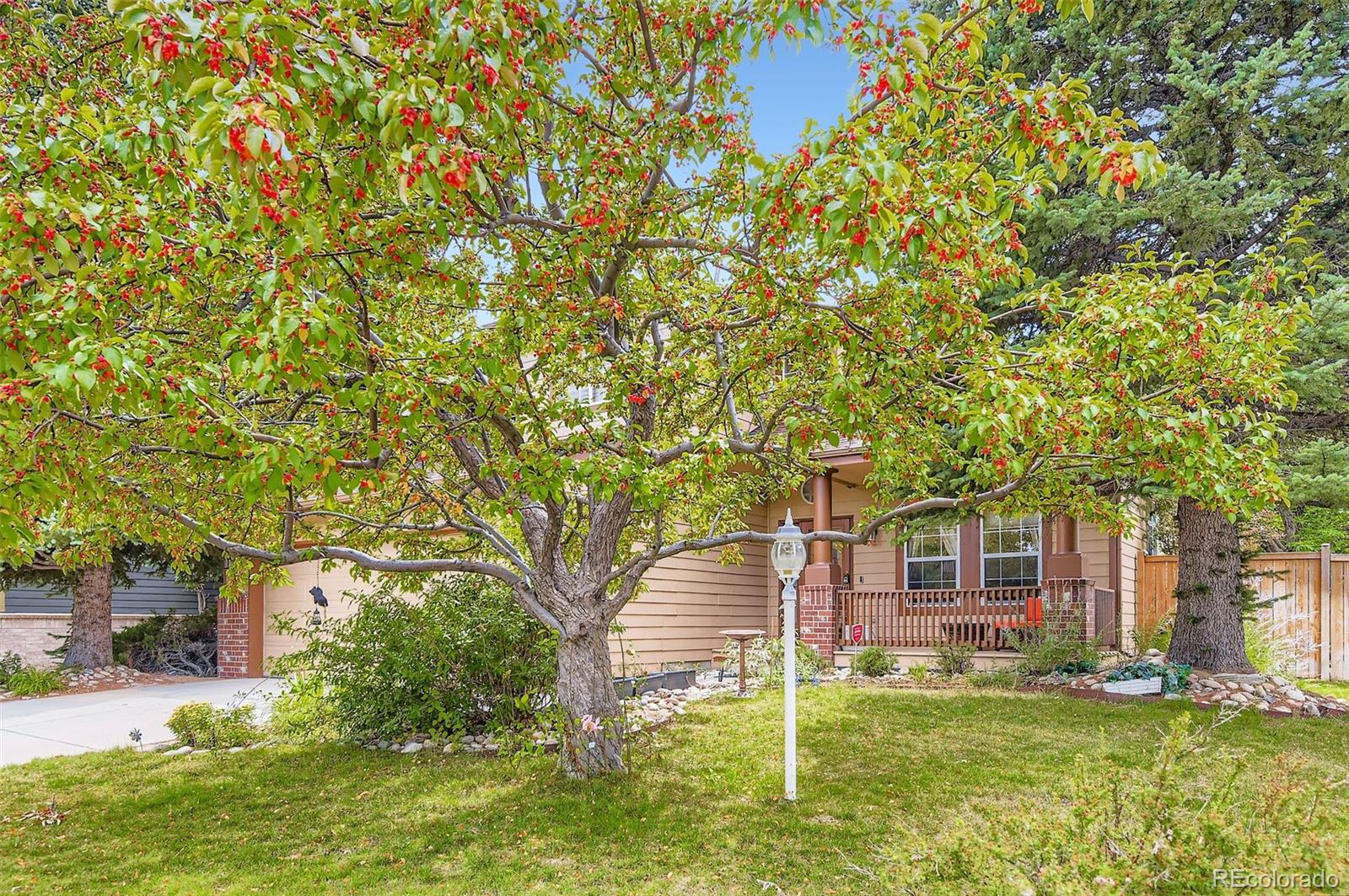 15904 Stonebriar Drive