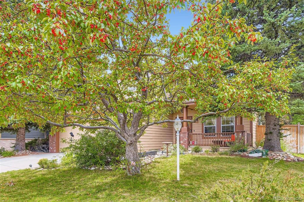 Photo of 15904 Stonebriar Drive, Parker, CO 80134 (MLS # 2859258)