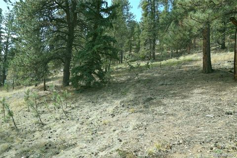 188 Brown Street Bailey CO 80421