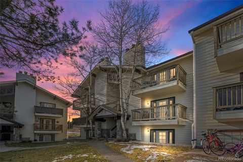 29656 Buffalo Park Road 206 Evergreen CO 80439