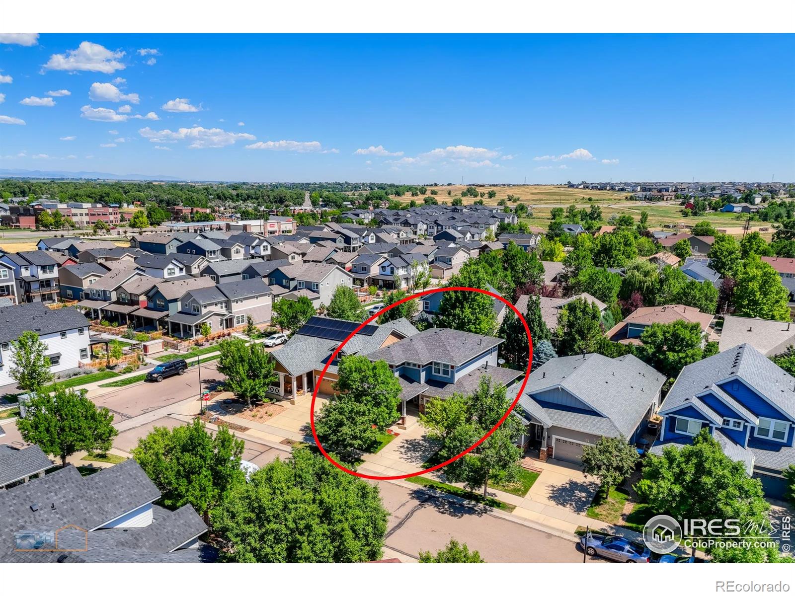 312 Decino Place, Erie, CO, 80516 3 312 Decino Place