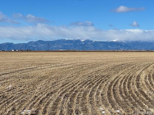 N Ellicott Highway