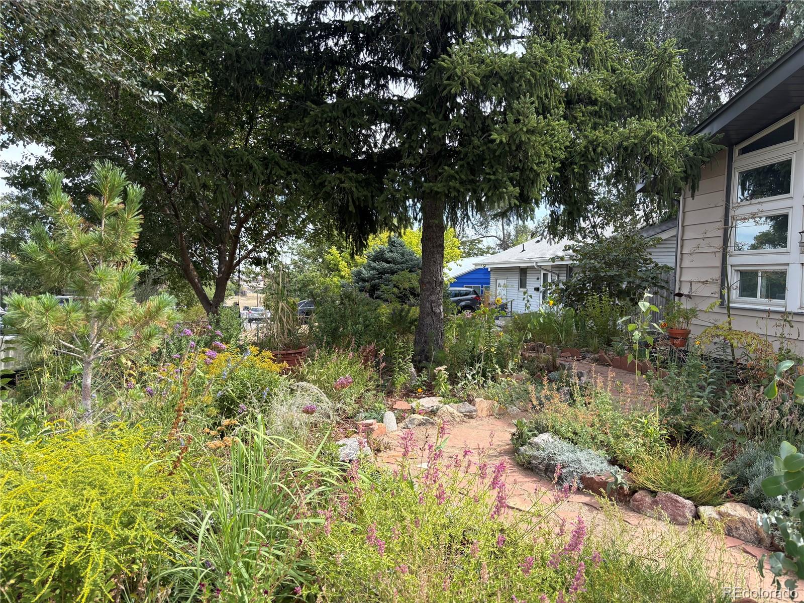 680 Bronco Road