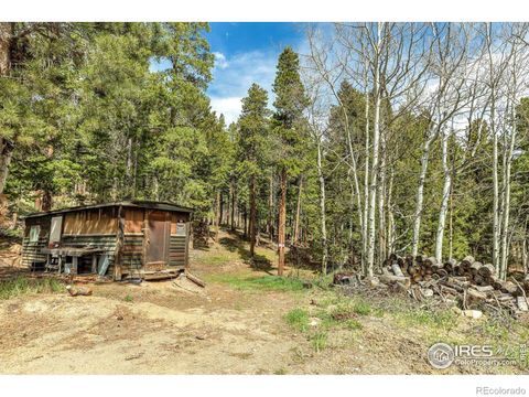 765 W 1st Street Nederland CO 80466
