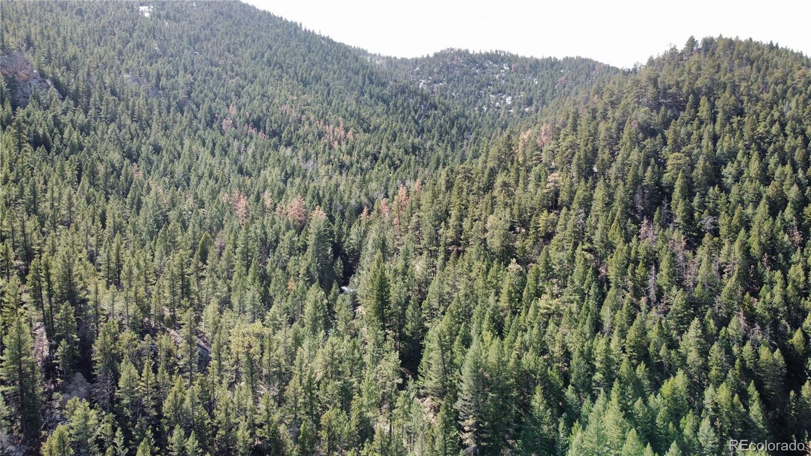 7893 Fourmile Canyon Drive