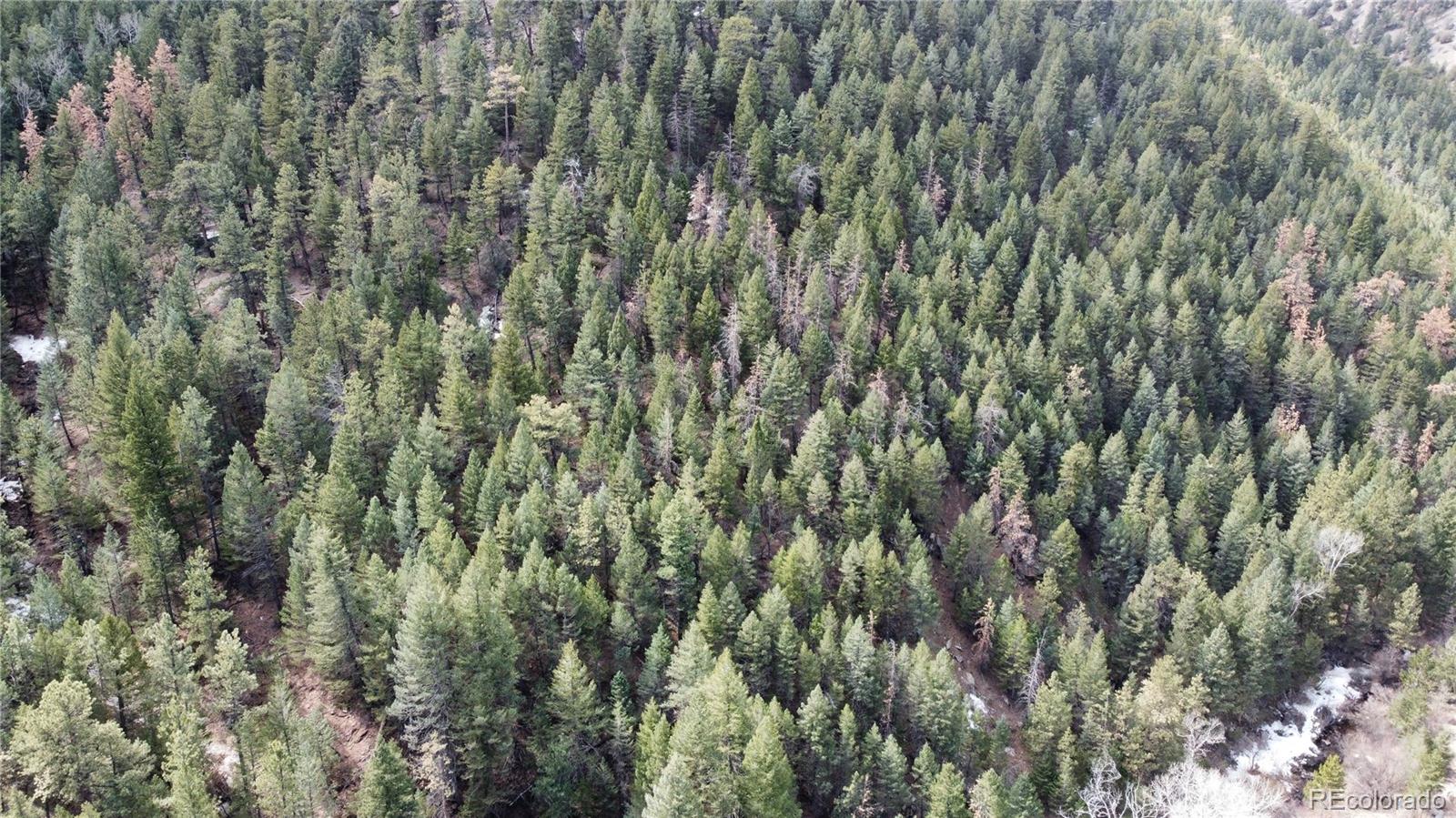 7893 Fourmile Canyon Drive