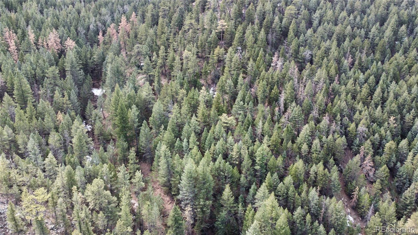 7893 Fourmile Canyon Drive