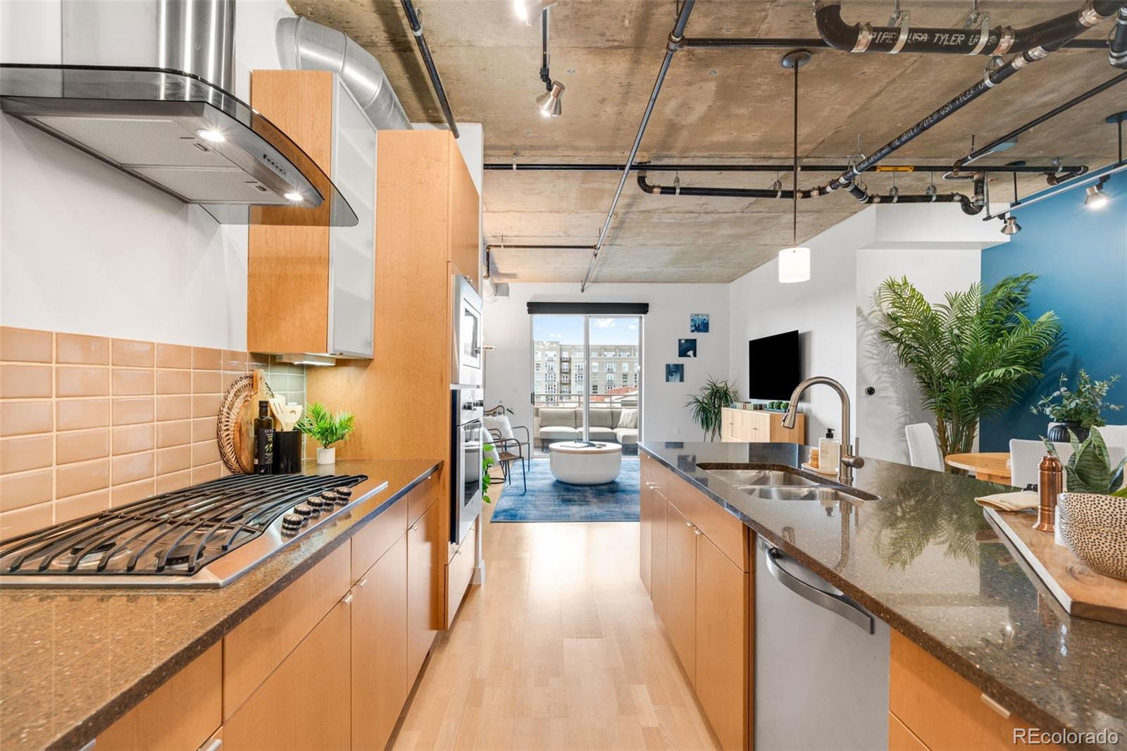 2229 Blake Street 501