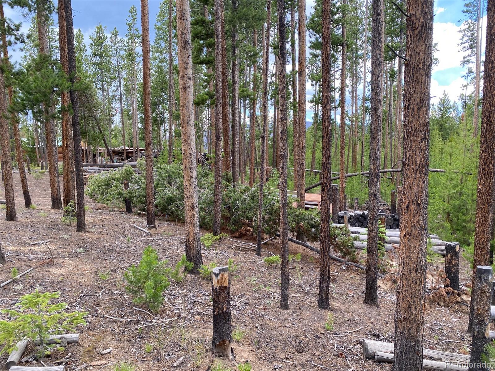 Photo 1 of 11 — 63 Cr-499, Grand Lake, CO 80447