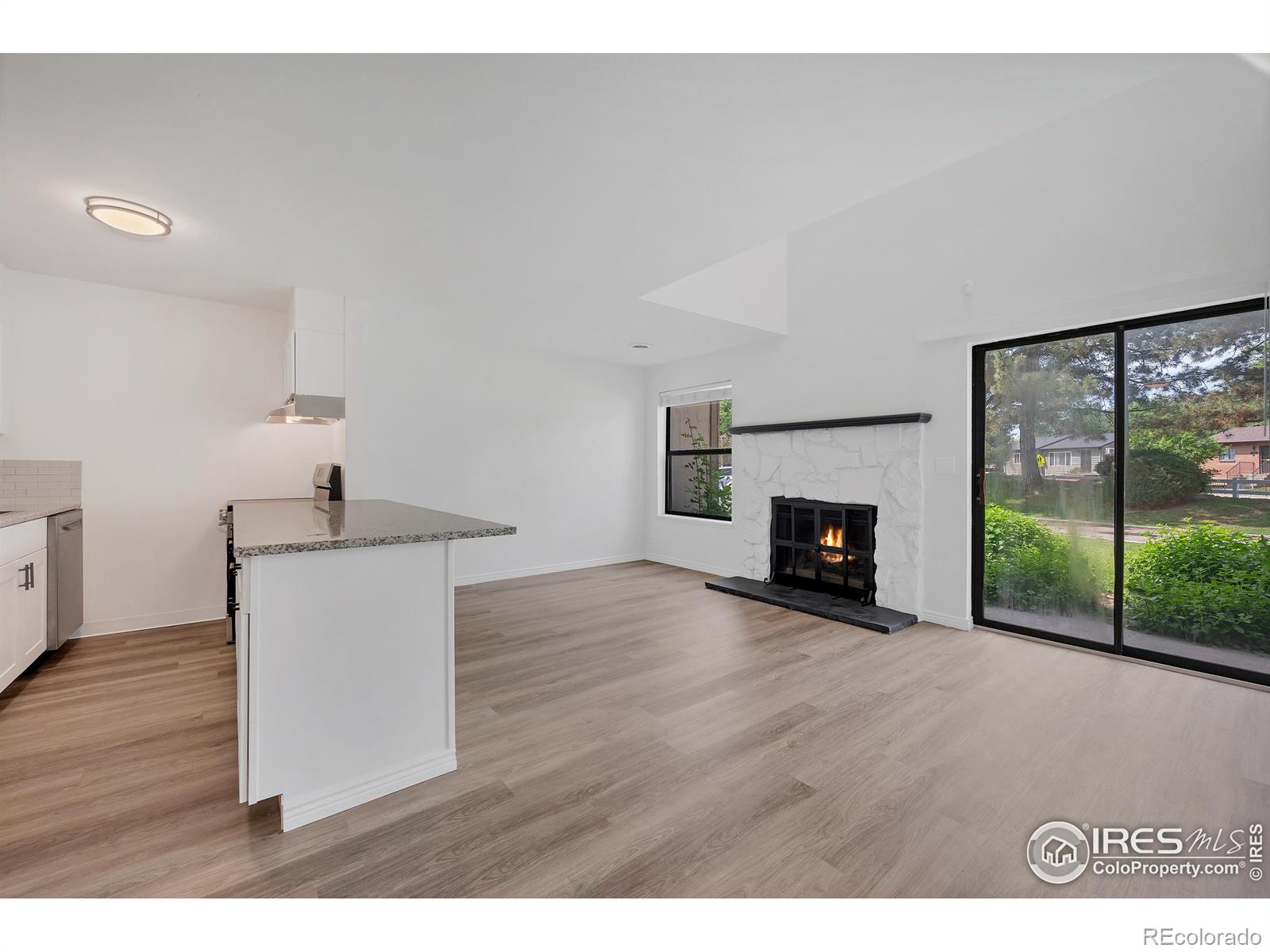 225 E 8th Avenue A2