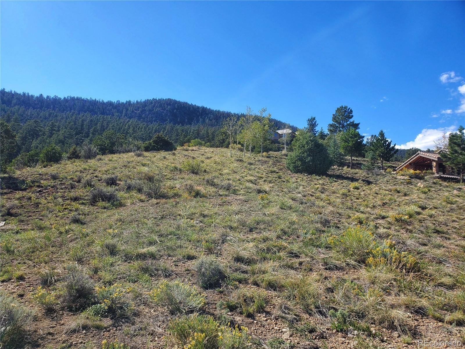 Photo 1 of 9 — 120 Fairway Ridge Lane, South Fork, CO 81154