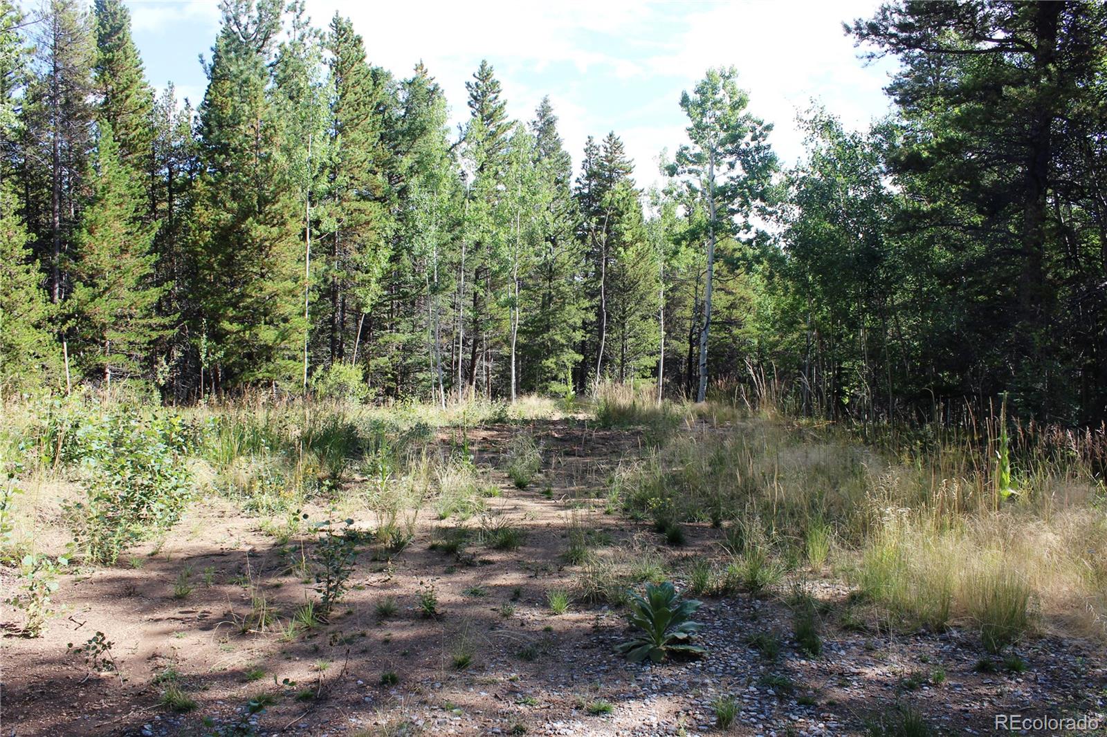 5940 Virginia Canyon Road