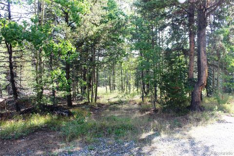 5940 Virginia Canyon Road Black Hawk CO 80422