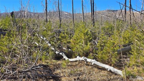 Lot 1460 Von Heyl Lane Fort Garland CO 81133
