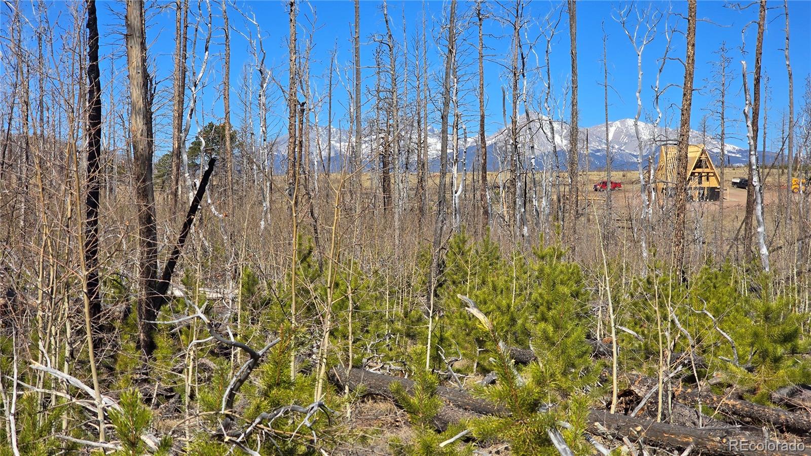 Lot 1460 Von Heyl Lane